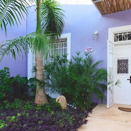 Casa Violeta Vila Mérida Exterior foto