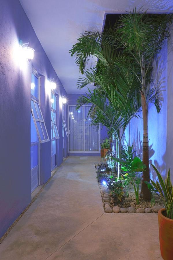 Casa Violeta Vila Mérida Exterior foto